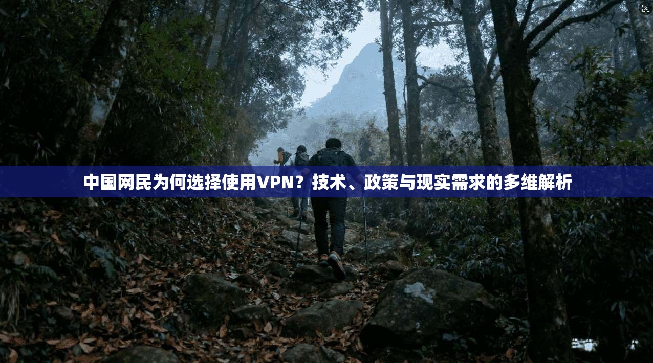 中国网民为何选择使用VPN？技术、政策与现实需求的多维解析