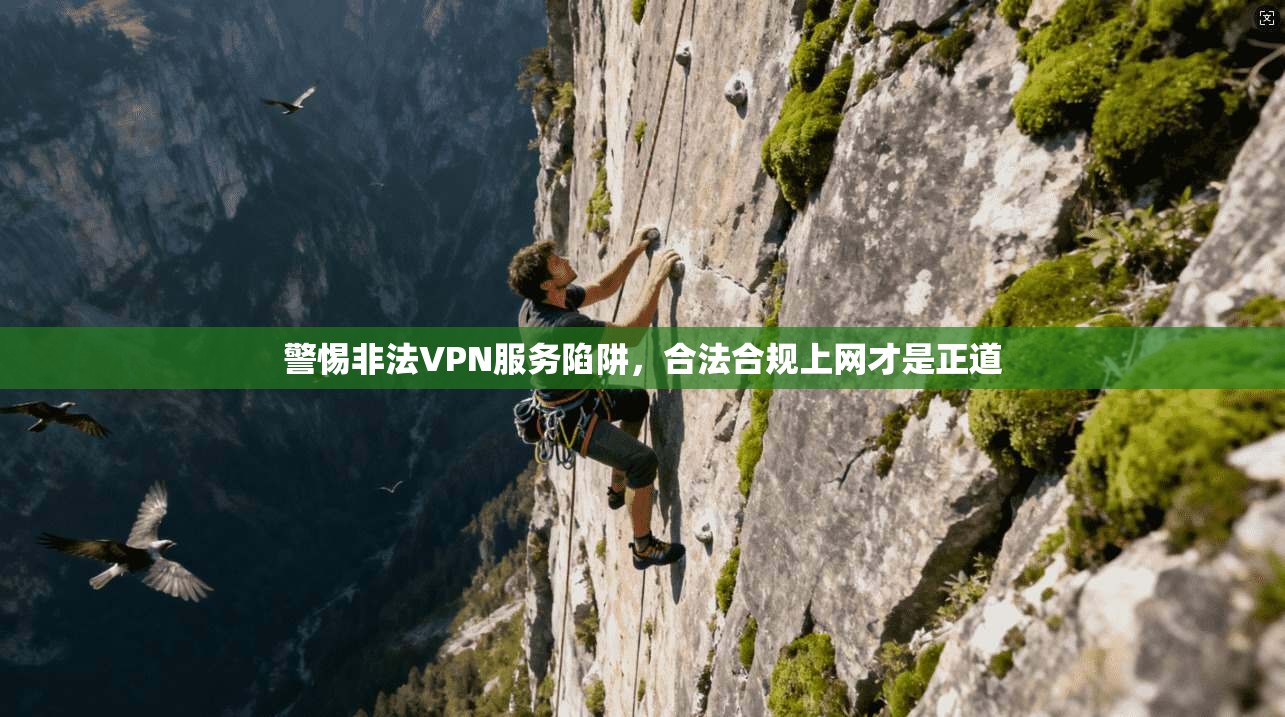 警惕非法VPN服务陷阱，合法合规上网才是正道