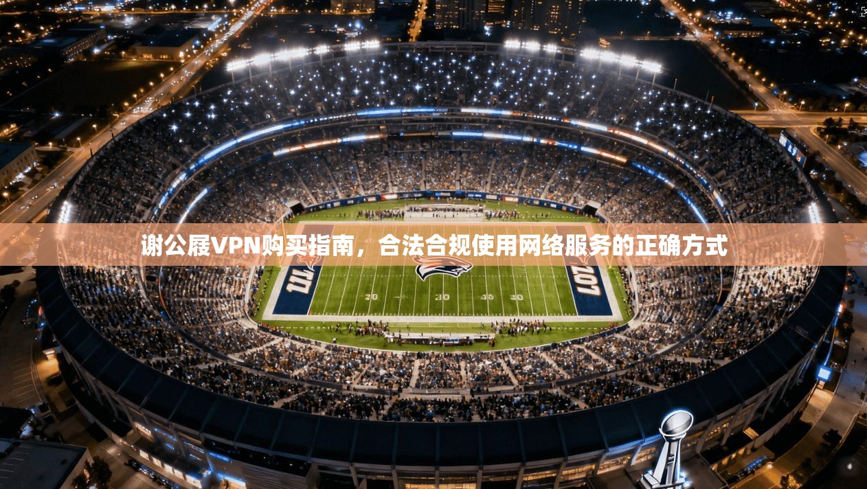 谢公屐VPN购买指南，合法合规使用网络服务的正确方式