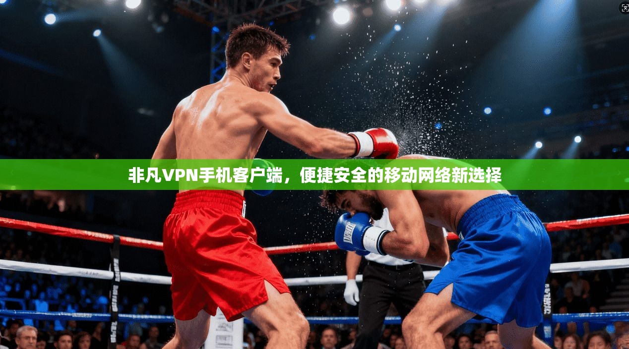 非凡VPN手机客户端，便捷安全的移动网络新选择