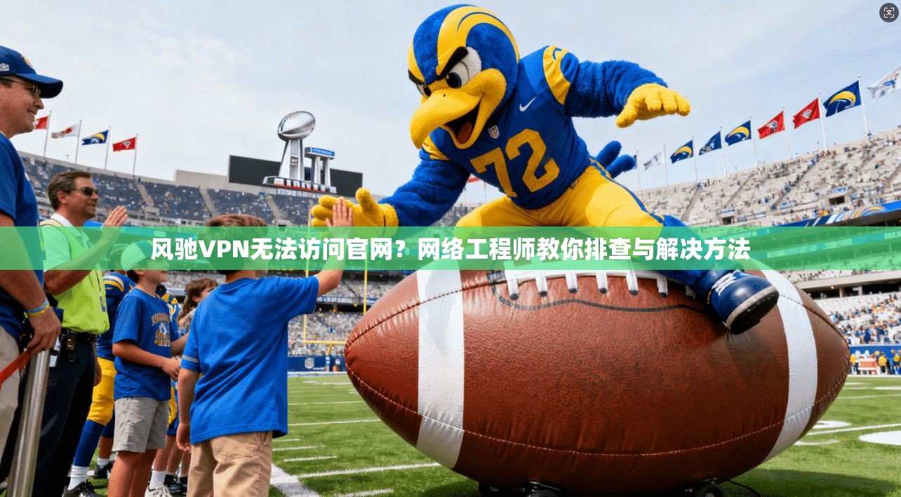 风驰VPN无法访问官网？网络工程师教你排查与解决方法