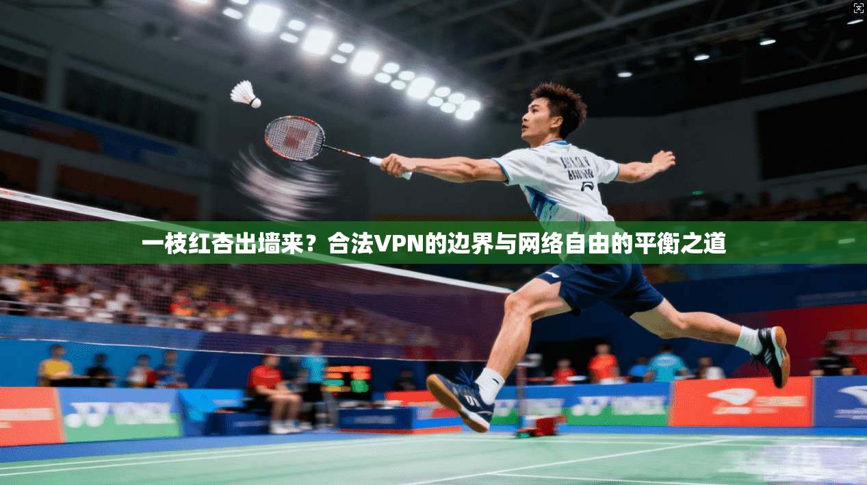 一枝红杏出墙来？合法VPN的边界与网络自由的平衡之道