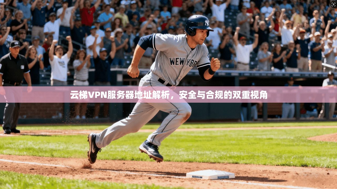 云梯VPN服务器地址解析，安全与合规的双重视角