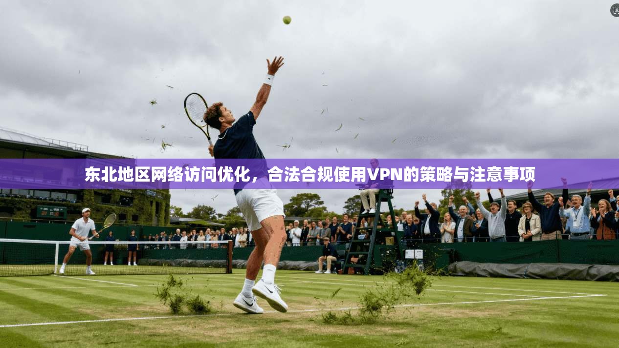 东北地区网络访问优化，合法合规使用VPN的策略与注意事项