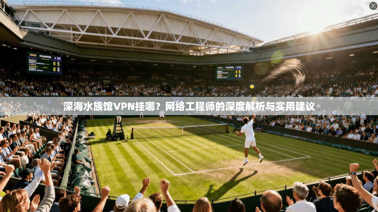 深海水族馆VPN挂哪？网络工程师的深度解析与实用建议