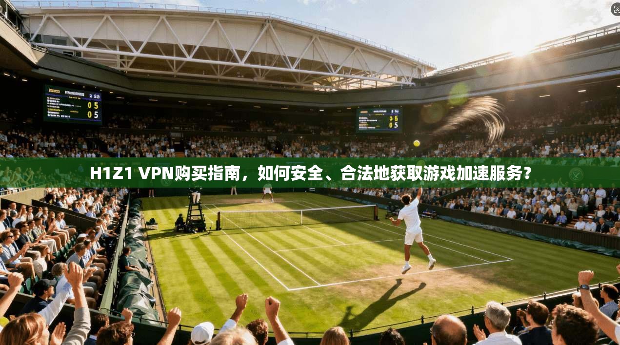 H1Z1 VPN购买指南，如何安全、合法地获取游戏加速服务？
