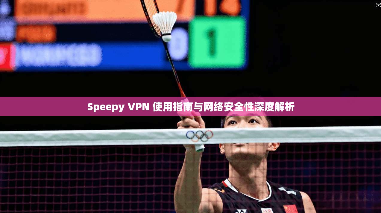 Speepy VPN 使用指南与网络安全性深度解析