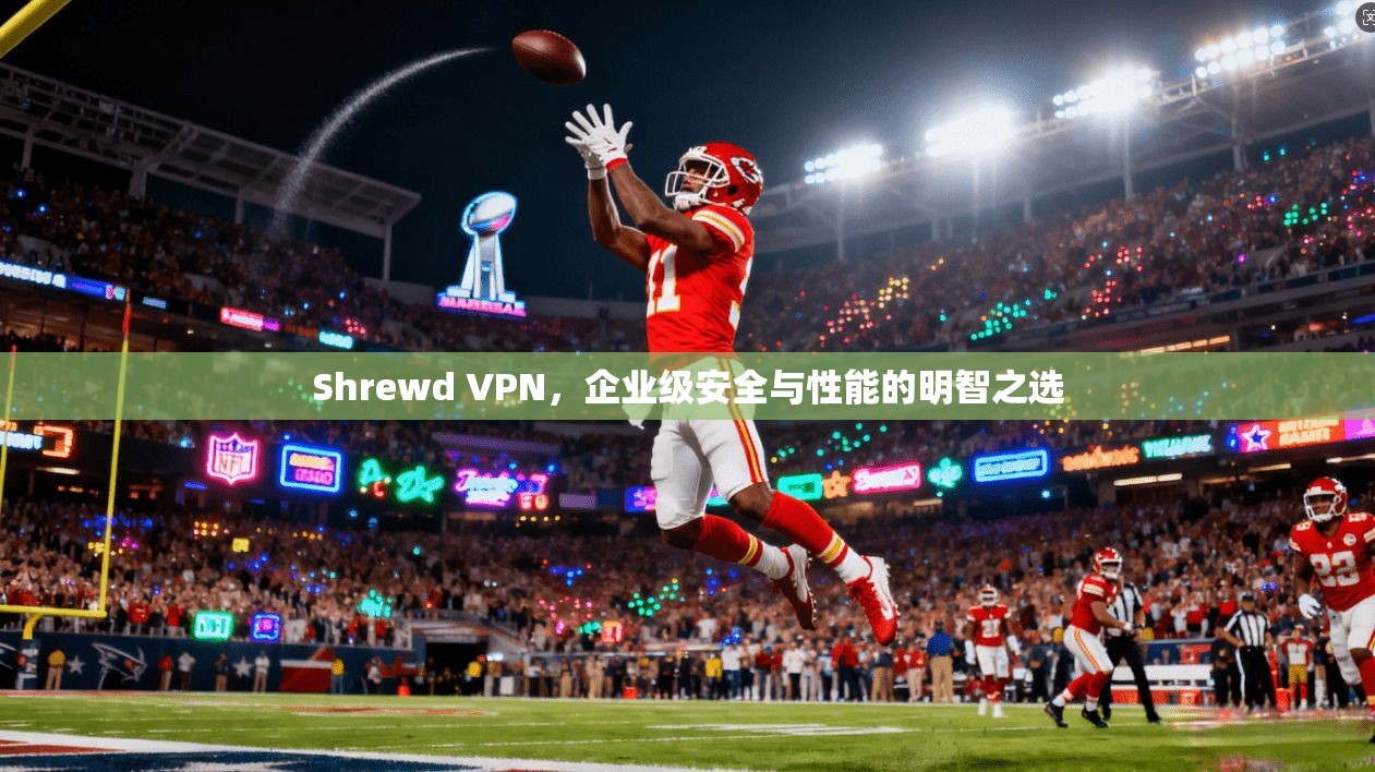 Shrewd VPN，企业级安全与性能的明智之选