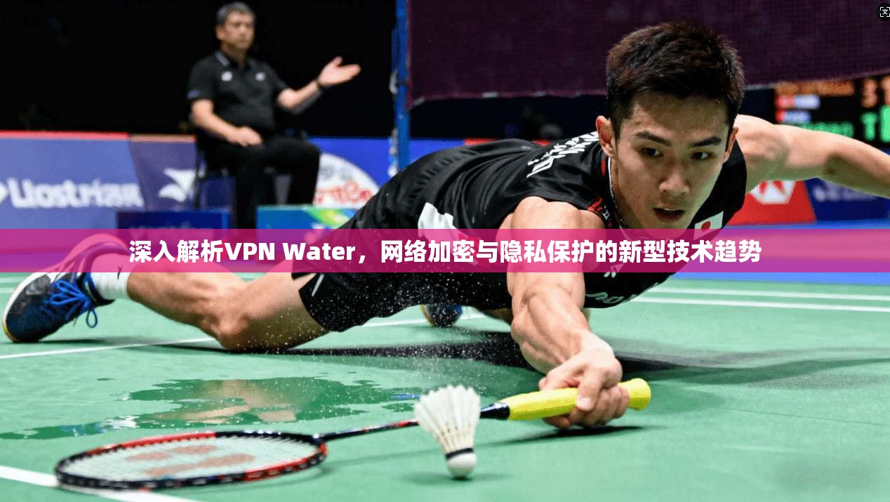 深入解析VPN Water，网络加密与隐私保护的新型技术趋势