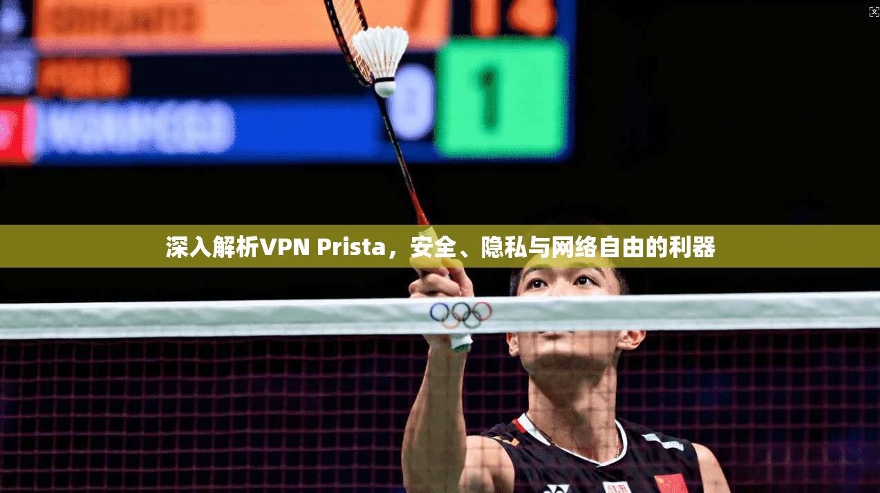 深入解析VPN Prista，安全、隐私与网络自由的利器