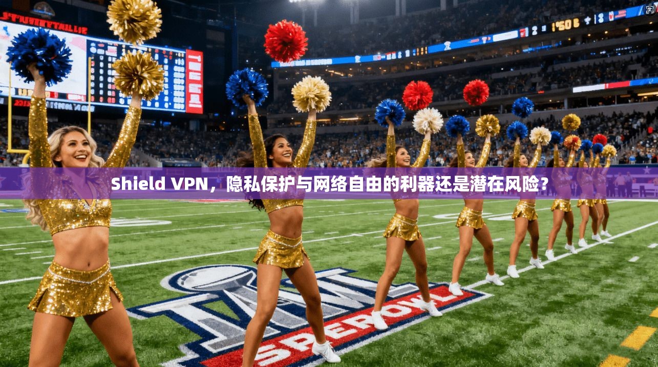 Shield VPN，隐私保护与网络自由的利器还是潜在风险？