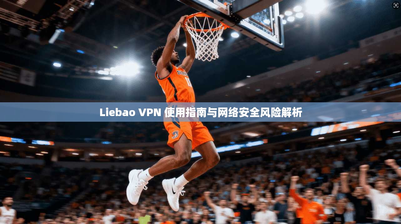 Liebao VPN 使用指南与网络安全风险解析