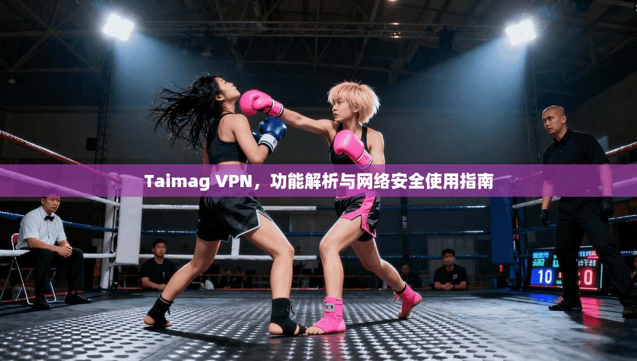 Taimag VPN，功能解析与网络安全使用指南