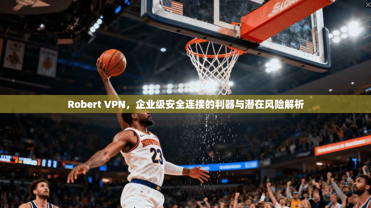 Robert VPN，企业级安全连接的利器与潜在风险解析
