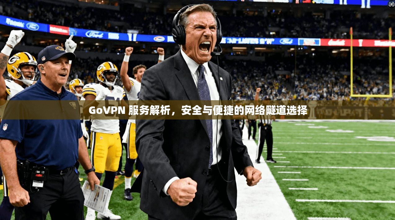 GoVPN 服务解析，安全与便捷的网络隧道选择