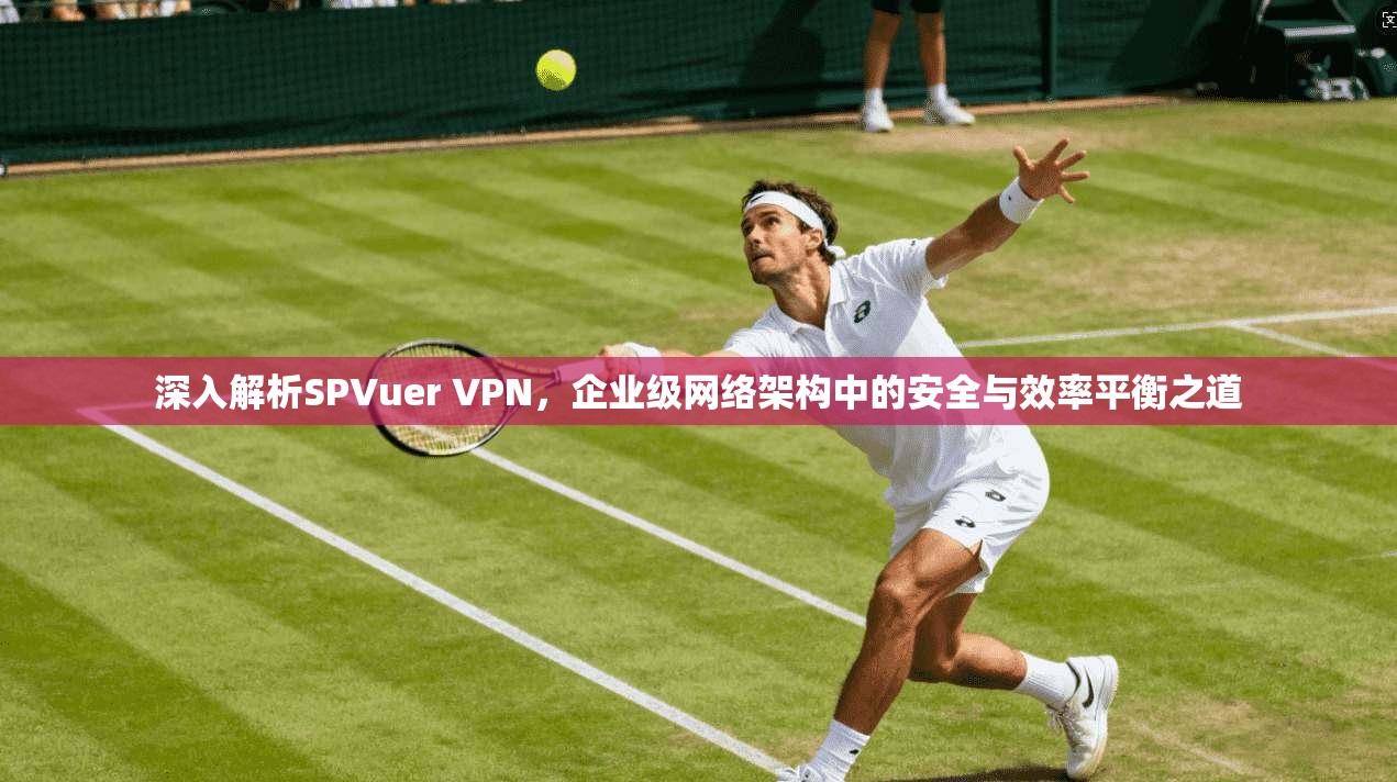 深入解析SPVuer VPN，企业级网络架构中的安全与效率平衡之道