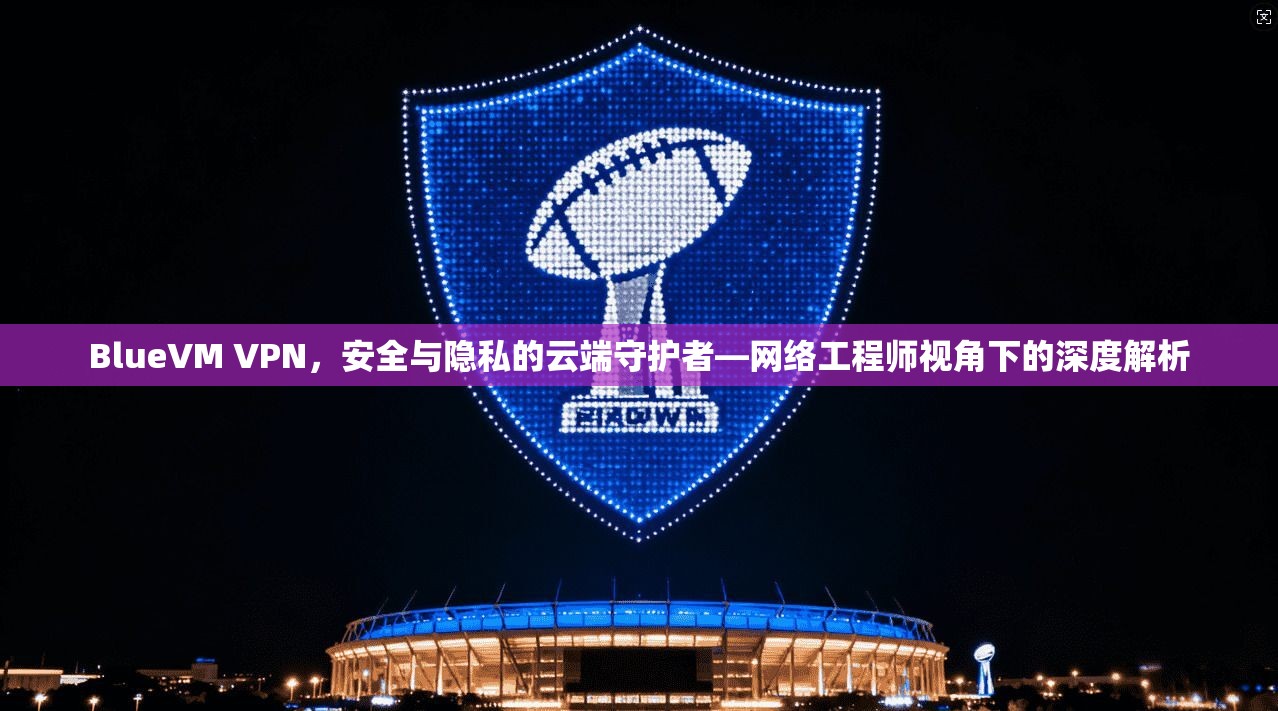BlueVM VPN，安全与隐私的云端守护者—网络工程师视角下的深度解析