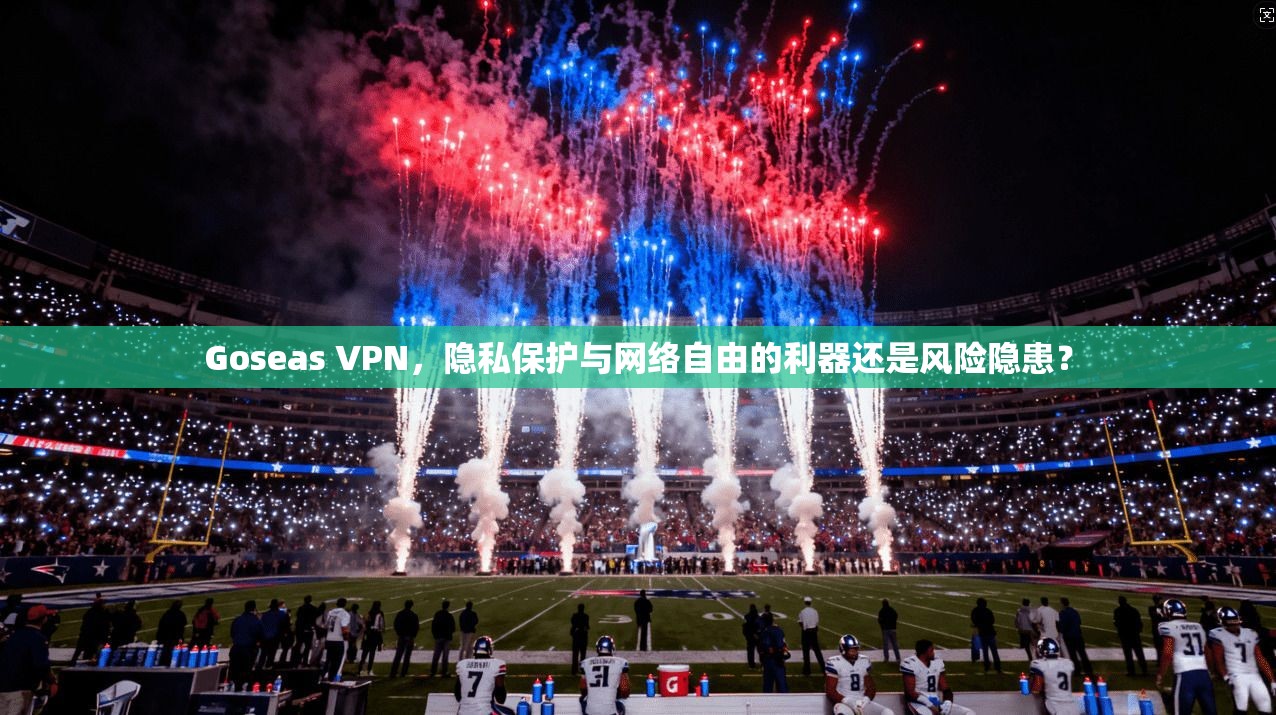 Goseas VPN，隐私保护与网络自由的利器还是风险隐患？