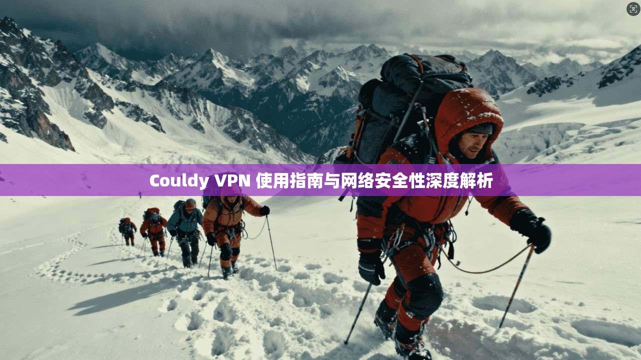Couldy VPN 使用指南与网络安全性深度解析
