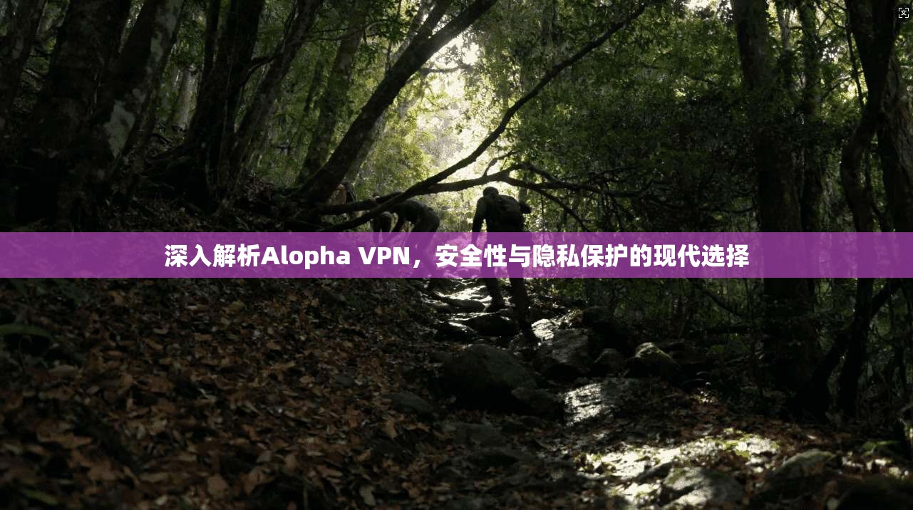 深入解析Alopha VPN，安全性与隐私保护的现代选择