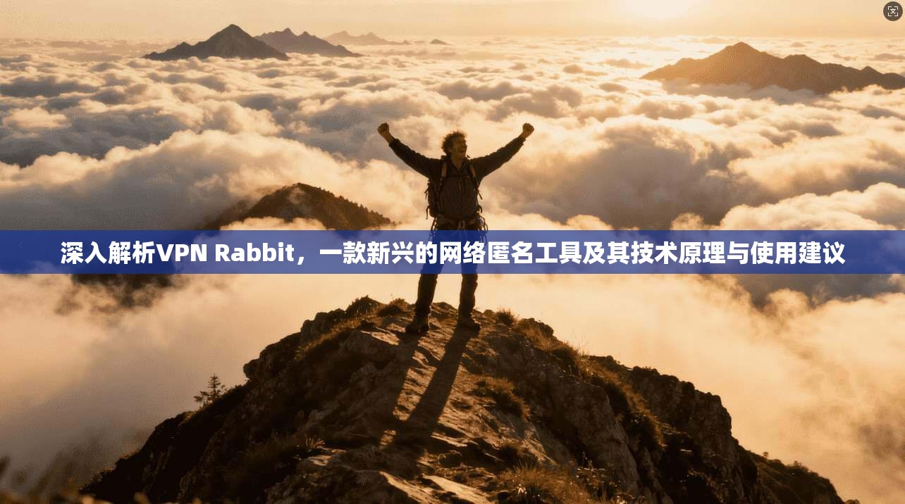 深入解析VPN Rabbit，一款新兴的网络匿名工具及其技术原理与使用建议