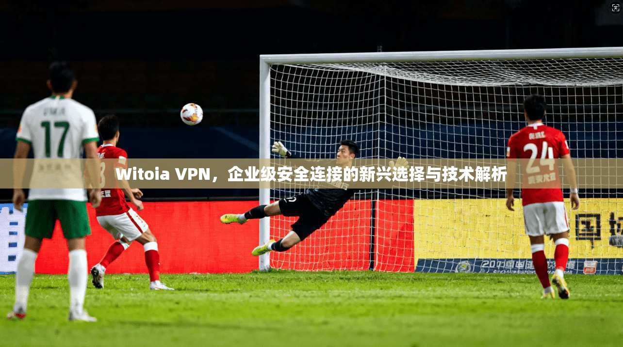 Witoia VPN，企业级安全连接的新兴选择与技术解析