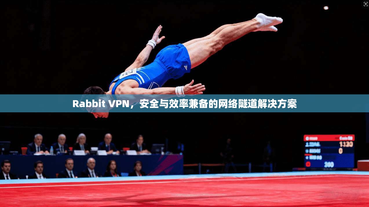 Rabbit VPN，安全与效率兼备的网络隧道解决方案