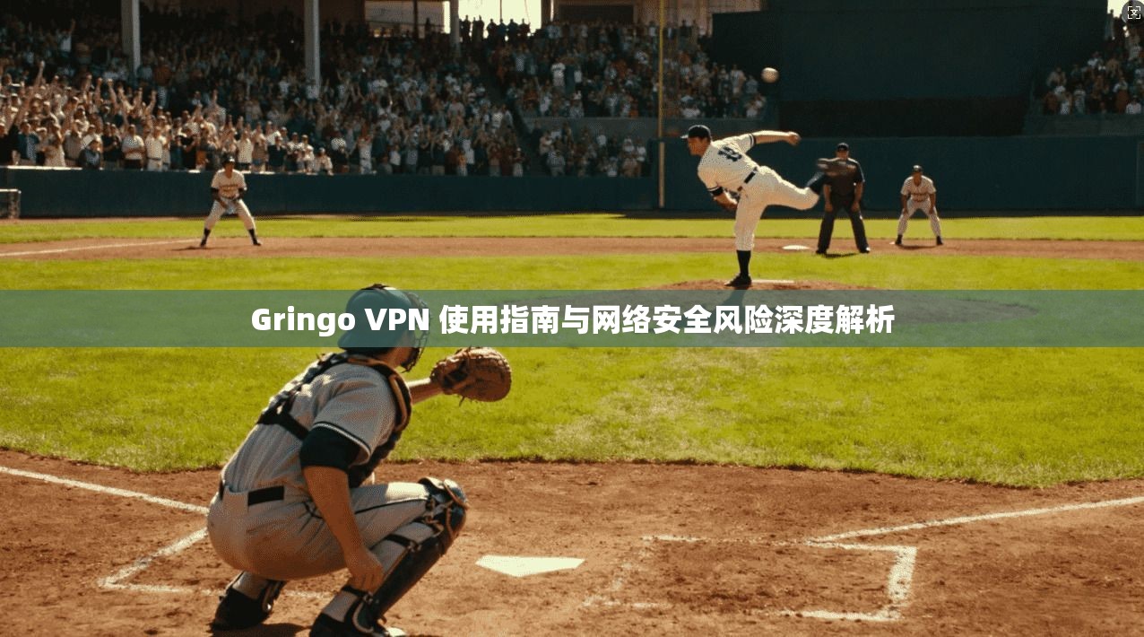 Gringo VPN 使用指南与网络安全风险深度解析