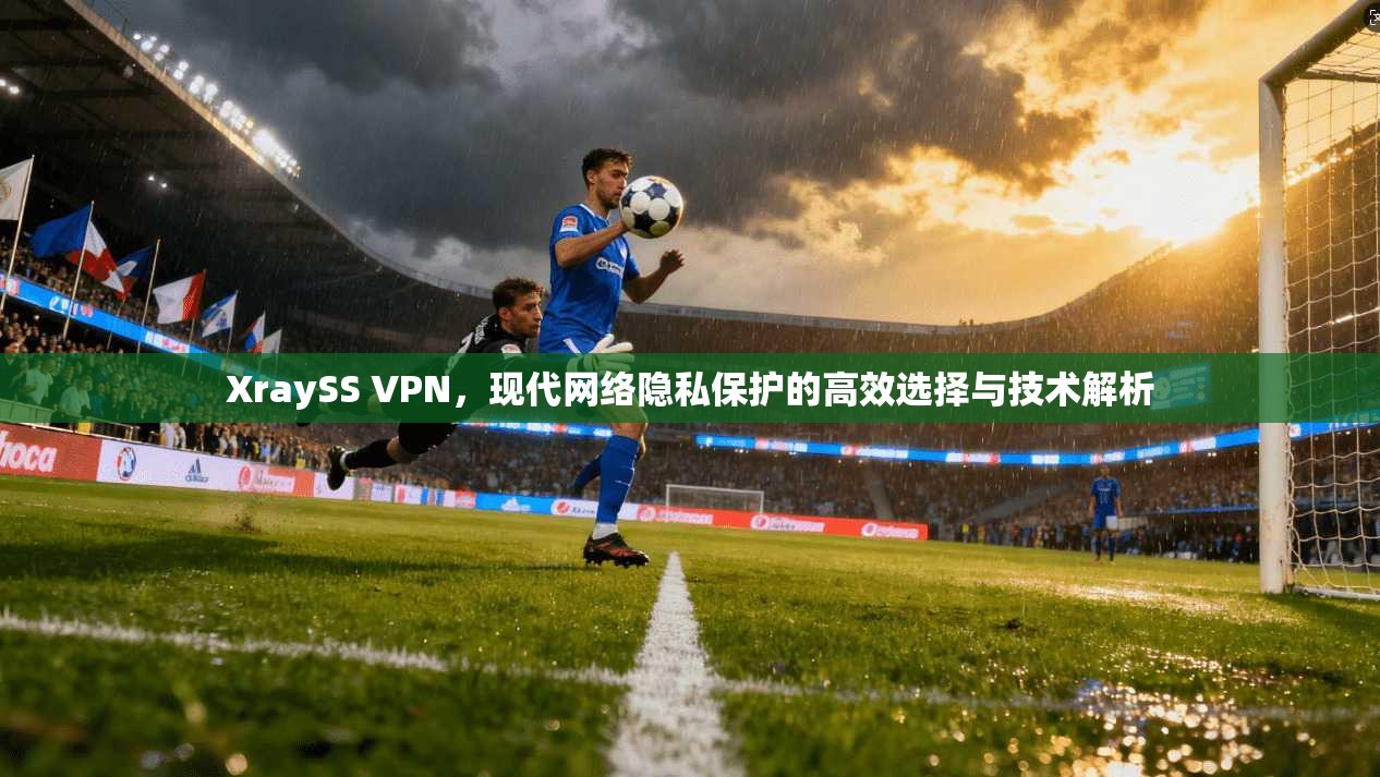 XraySS VPN，现代网络隐私保护的高效选择与技术解析