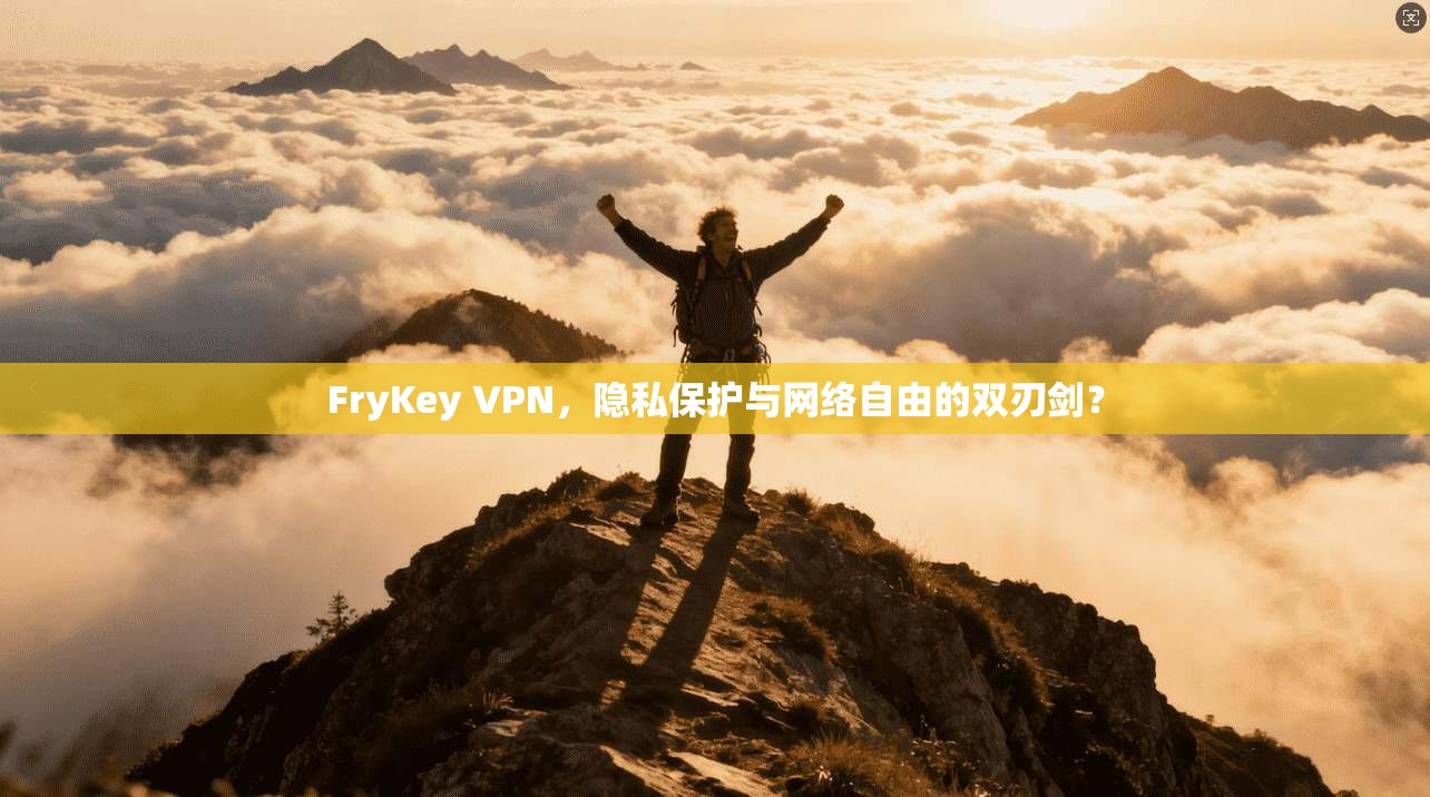 FryKey VPN，隐私保护与网络自由的双刃剑？