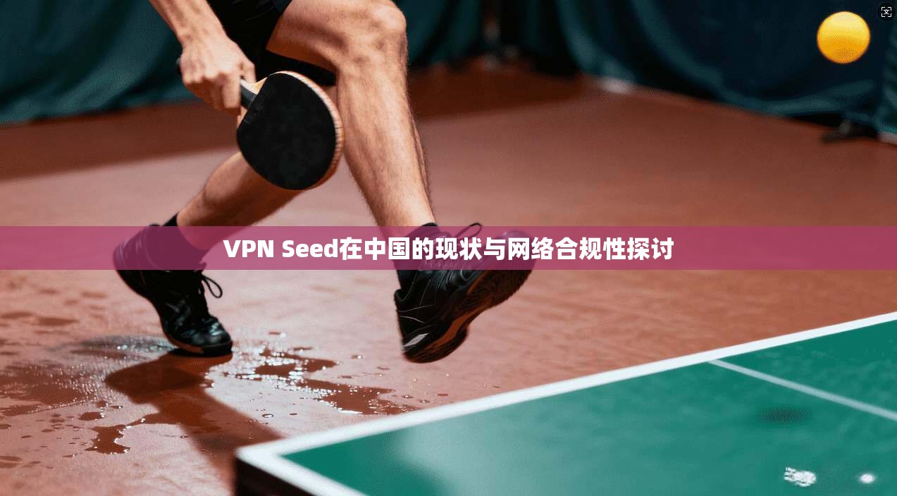 VPN Seed在中国的现状与网络合规性探讨