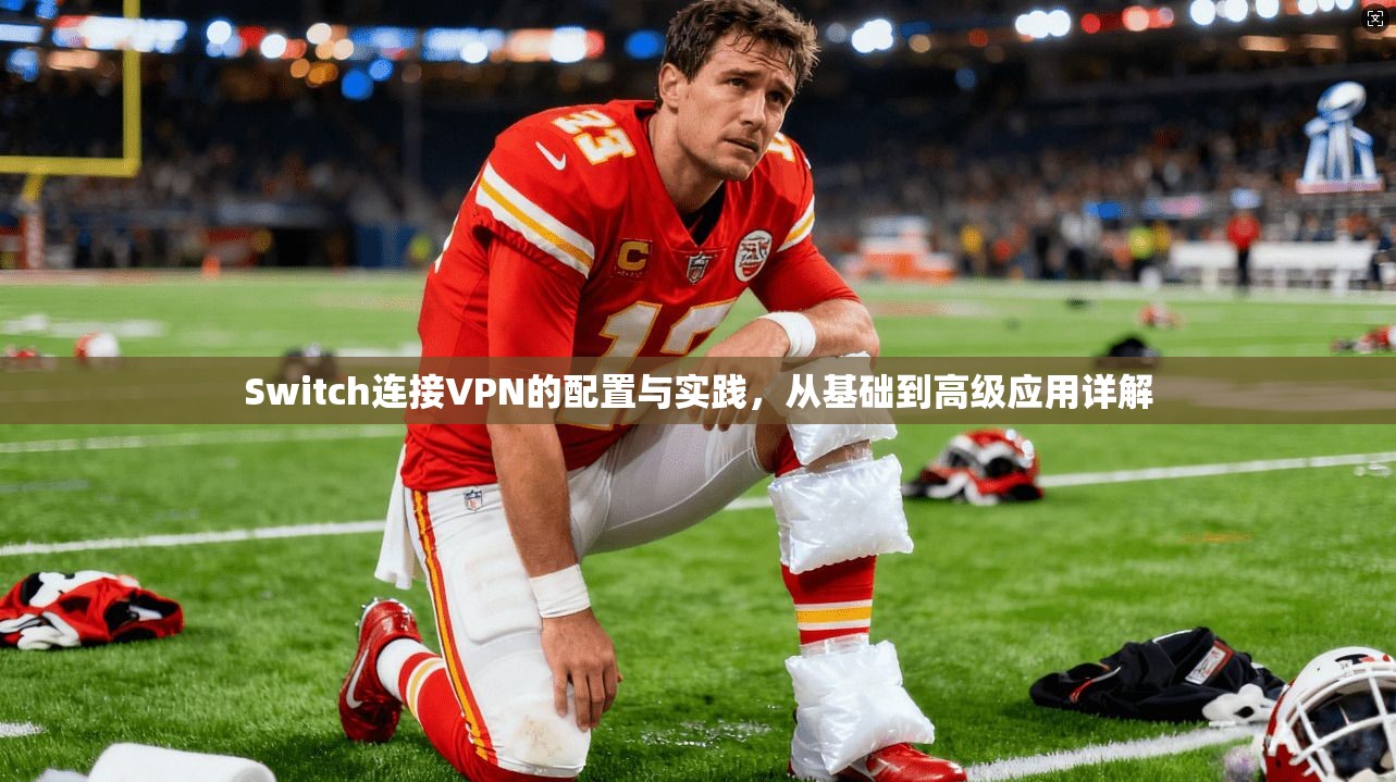 Switch连接VPN的配置与实践，从基础到高级应用详解