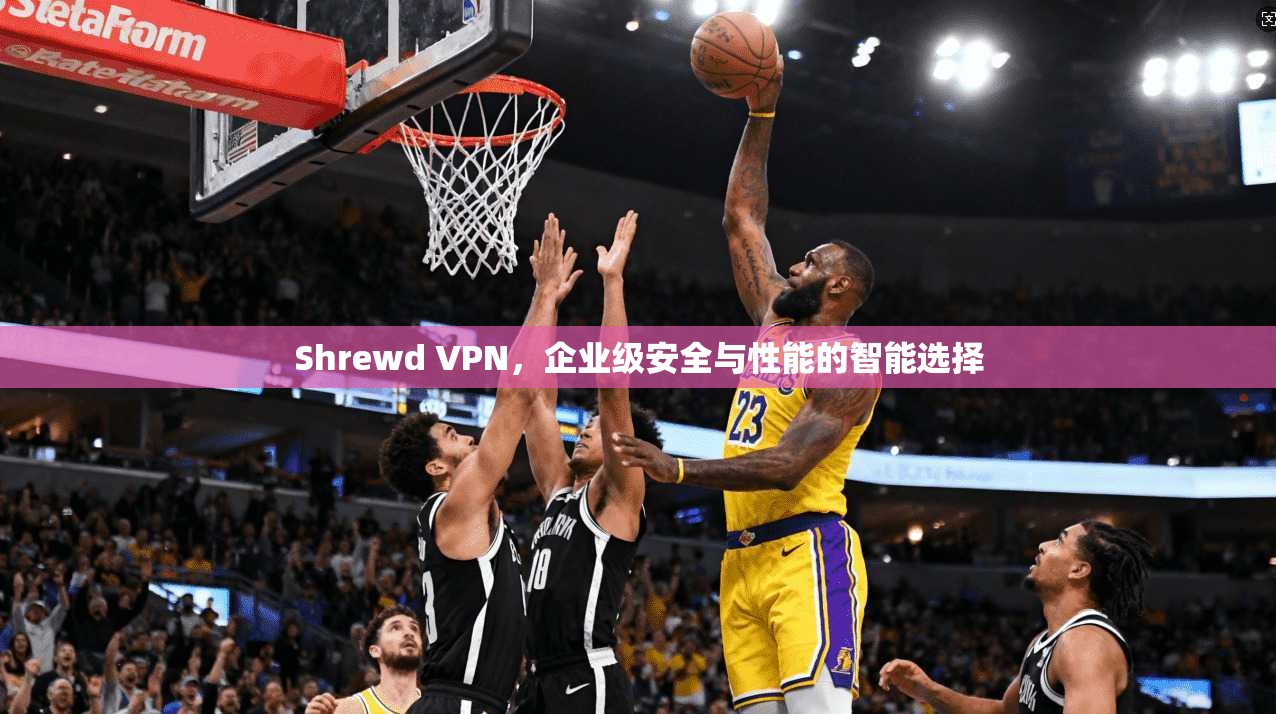 Shrewd VPN，企业级安全与性能的智能选择