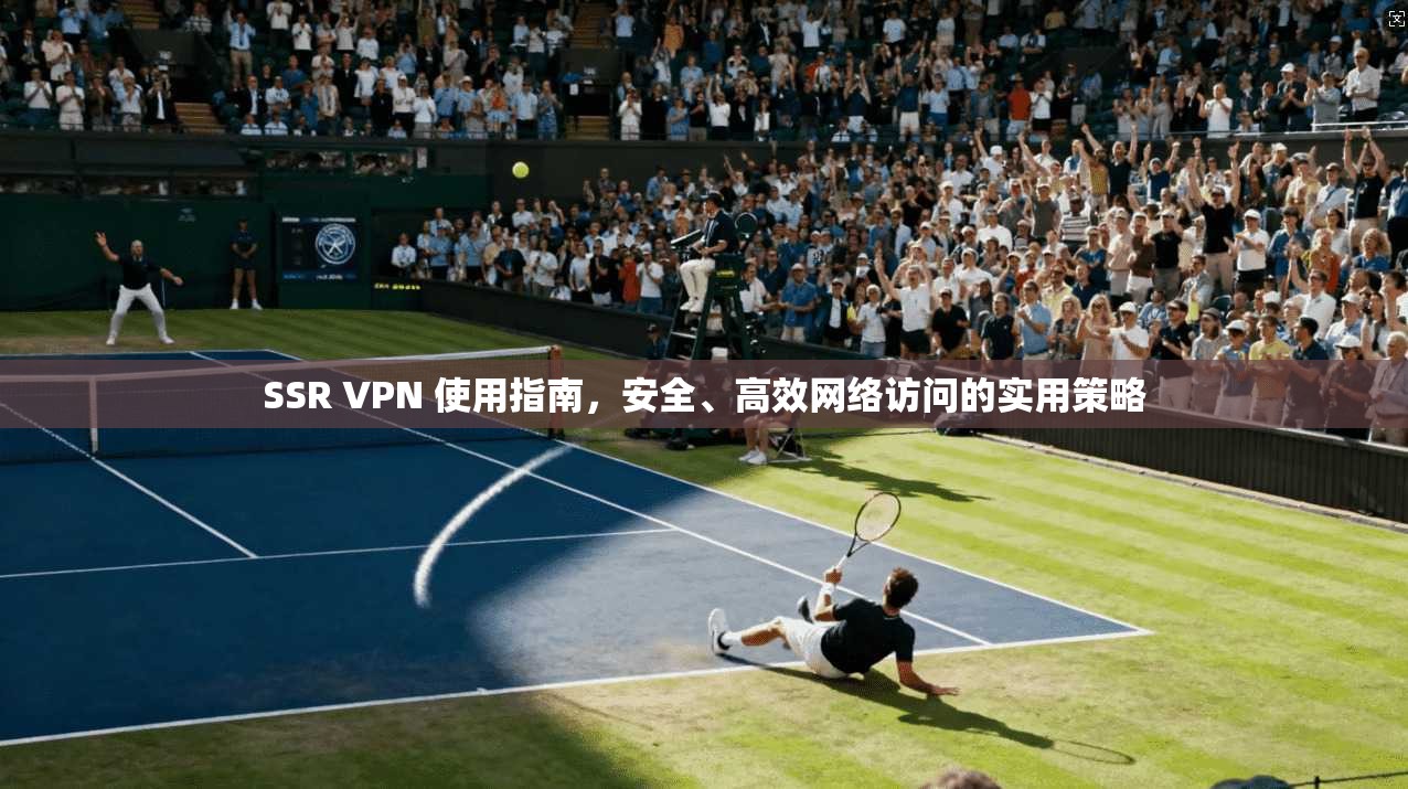 SSR VPN 使用指南，安全、高效网络访问的实用策略