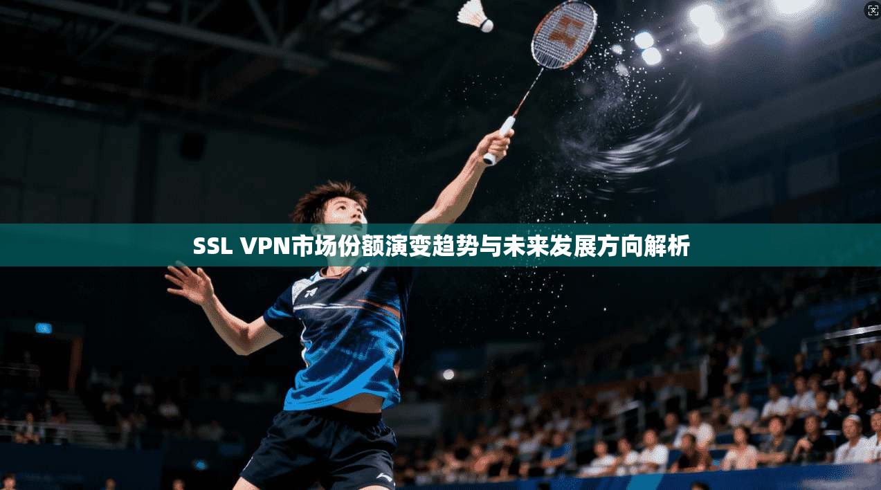 SSL VPN市场份额演变趋势与未来发展方向解析
