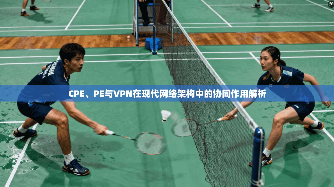 CPE、PE与VPN在现代网络架构中的协同作用解析