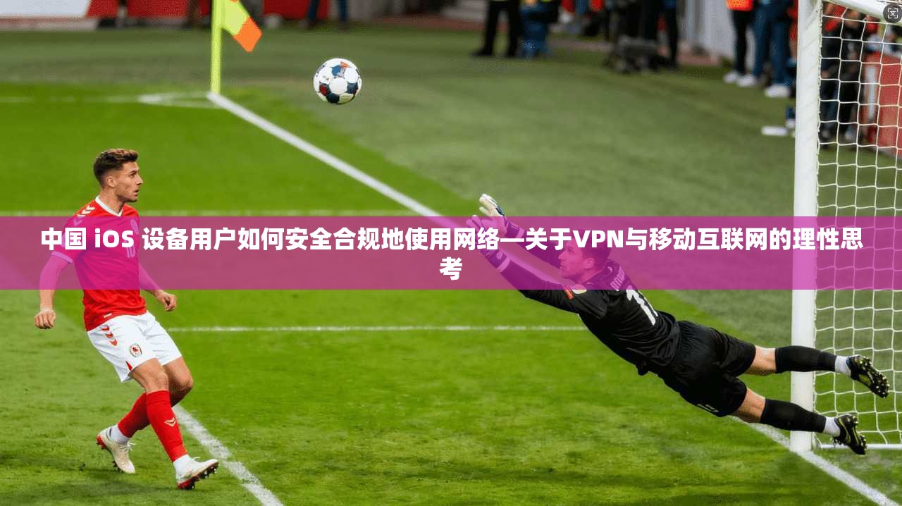中国 iOS 设备用户如何安全合规地使用网络—关于VPN与移动互联网的理性思考