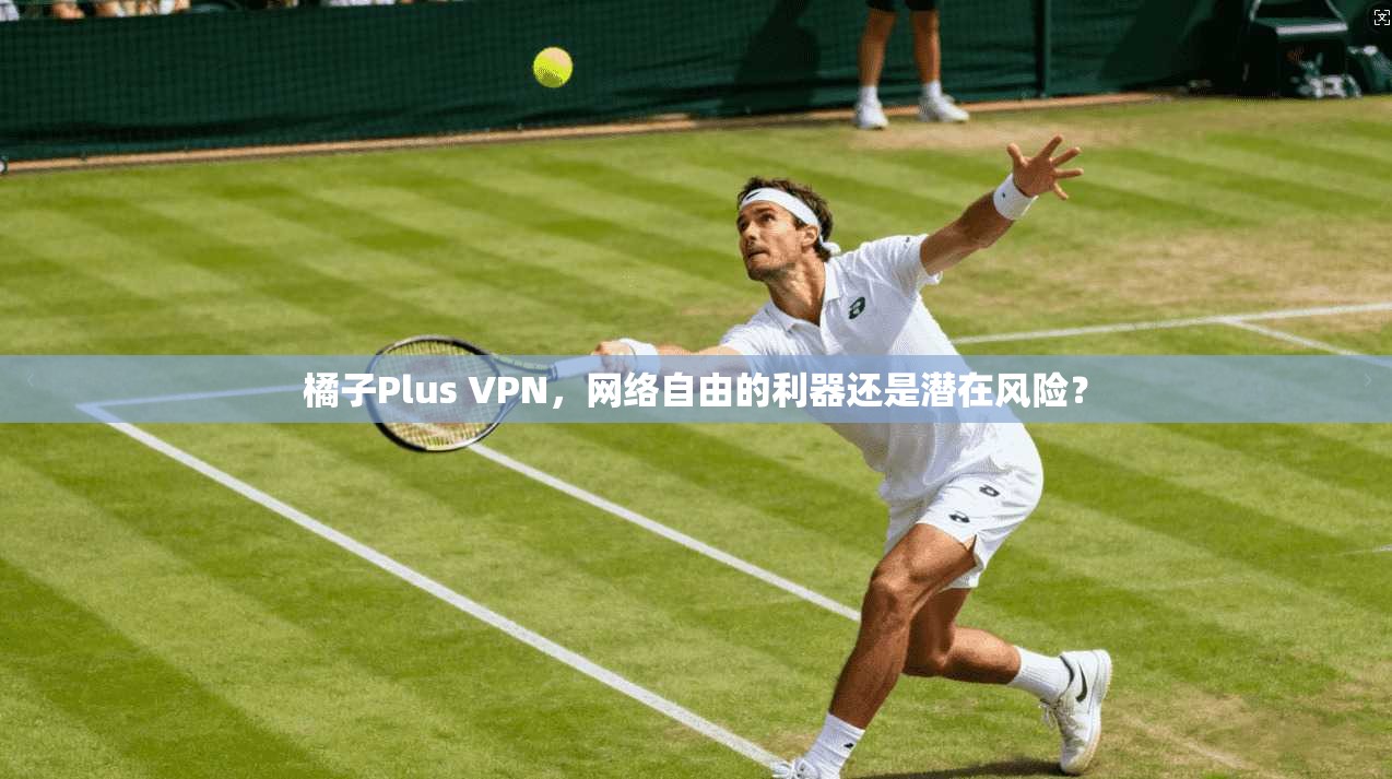 橘子Plus VPN，网络自由的利器还是潜在风险？