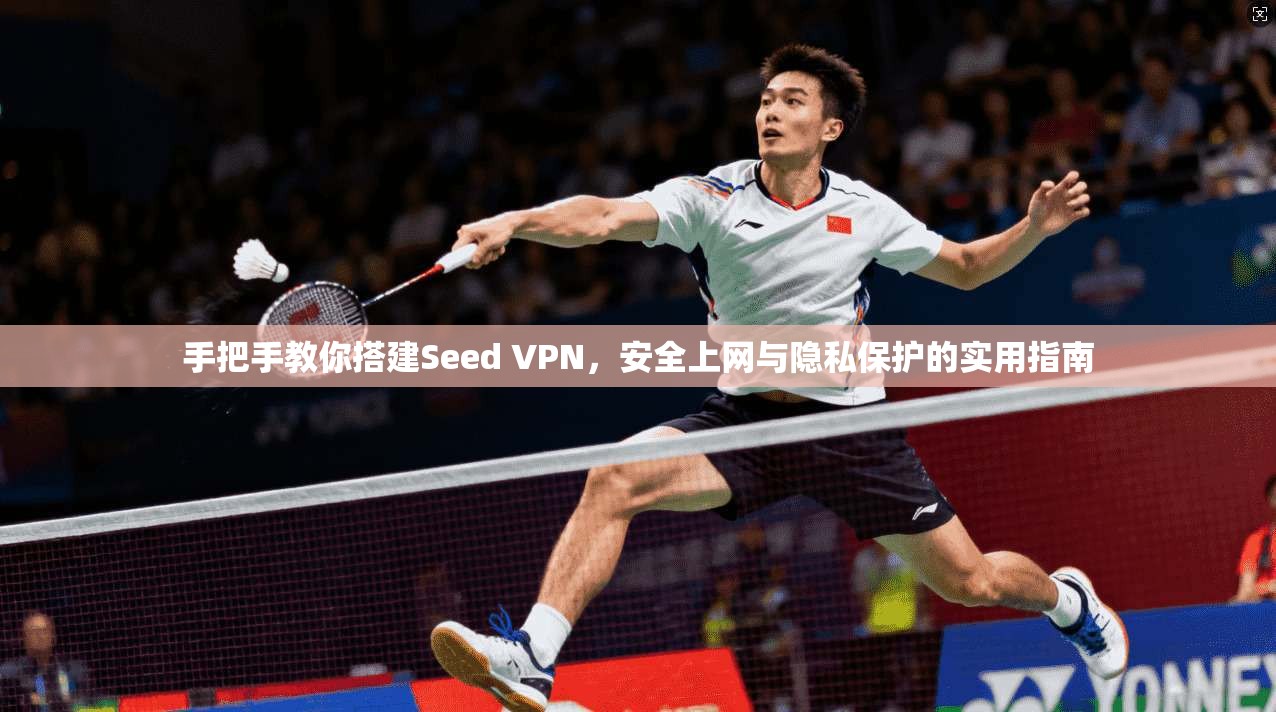 手把手教你搭建Seed VPN，安全上网与隐私保护的实用指南