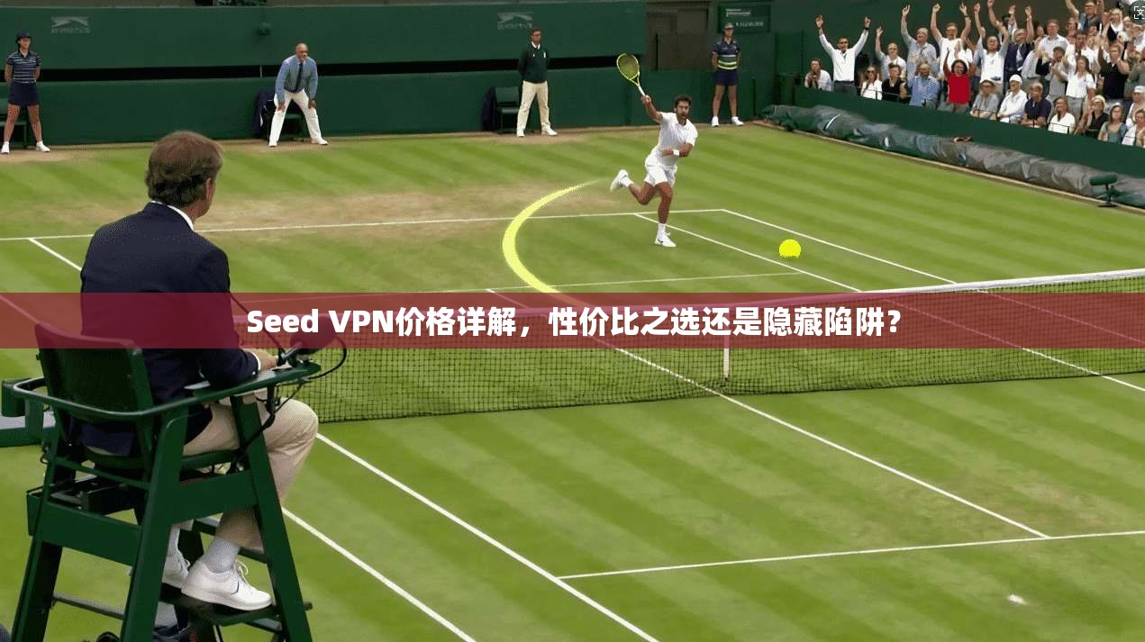 Seed VPN价格详解，性价比之选还是隐藏陷阱？