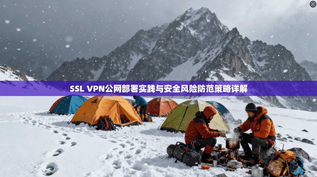 SSL VPN公网部署实践与安全风险防范策略详解
