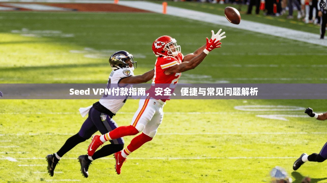 Seed VPN付款指南，安全、便捷与常见问题解析