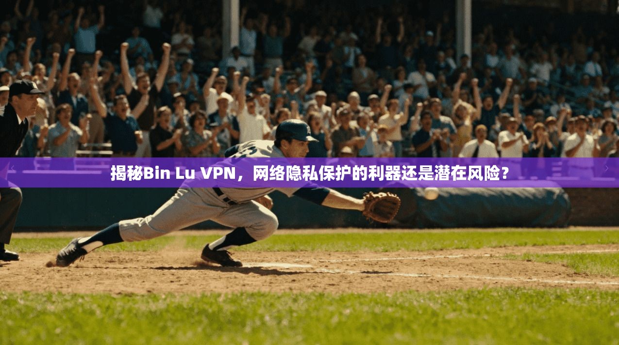 揭秘Bin Lu VPN，网络隐私保护的利器还是潜在风险？