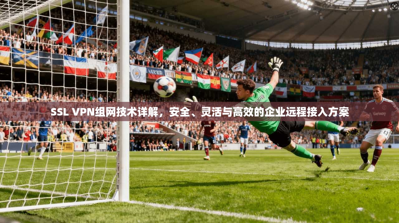 SSL VPN组网技术详解，安全、灵活与高效的企业远程接入方案