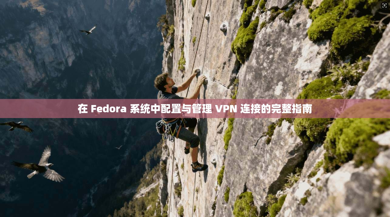 在 Fedora 系统中配置与管理 VPN 连接的完整指南