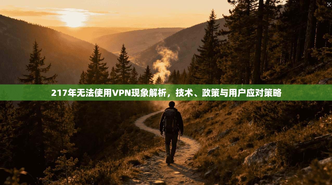 217年无法使用VPN现象解析，技术、政策与用户应对策略