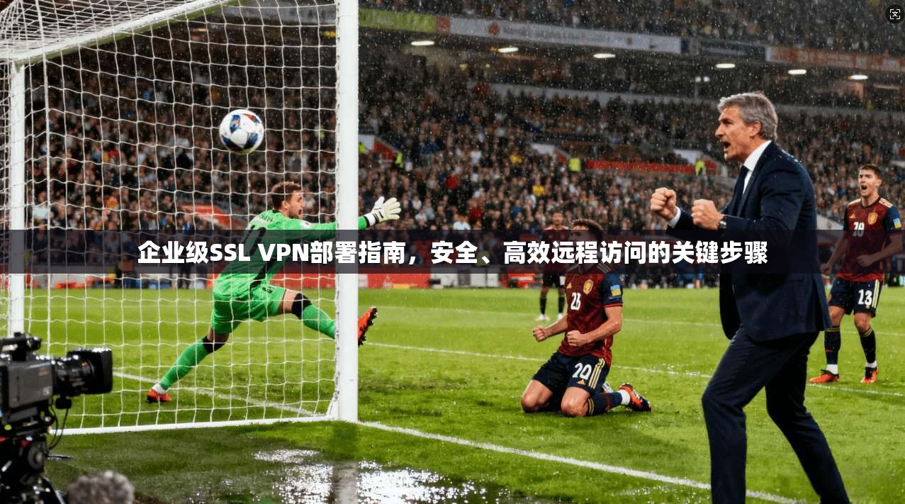 企业级SSL VPN部署指南，安全、高效远程访问的关键步骤
