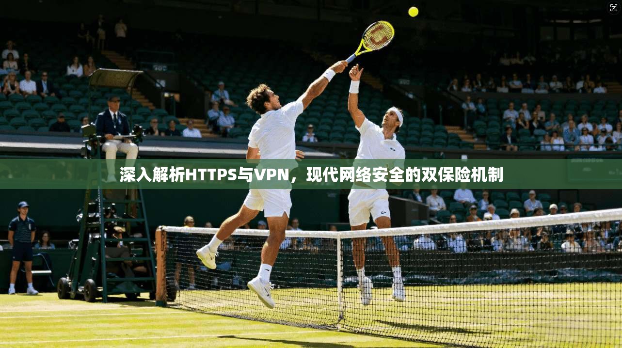 深入解析HTTPS与VPN，现代网络安全的双保险机制
