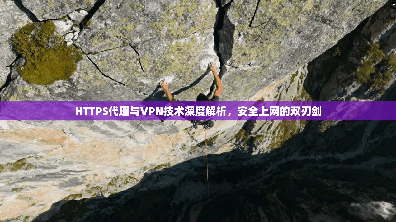 HTTPS代理与VPN技术深度解析，安全上网的双刃剑