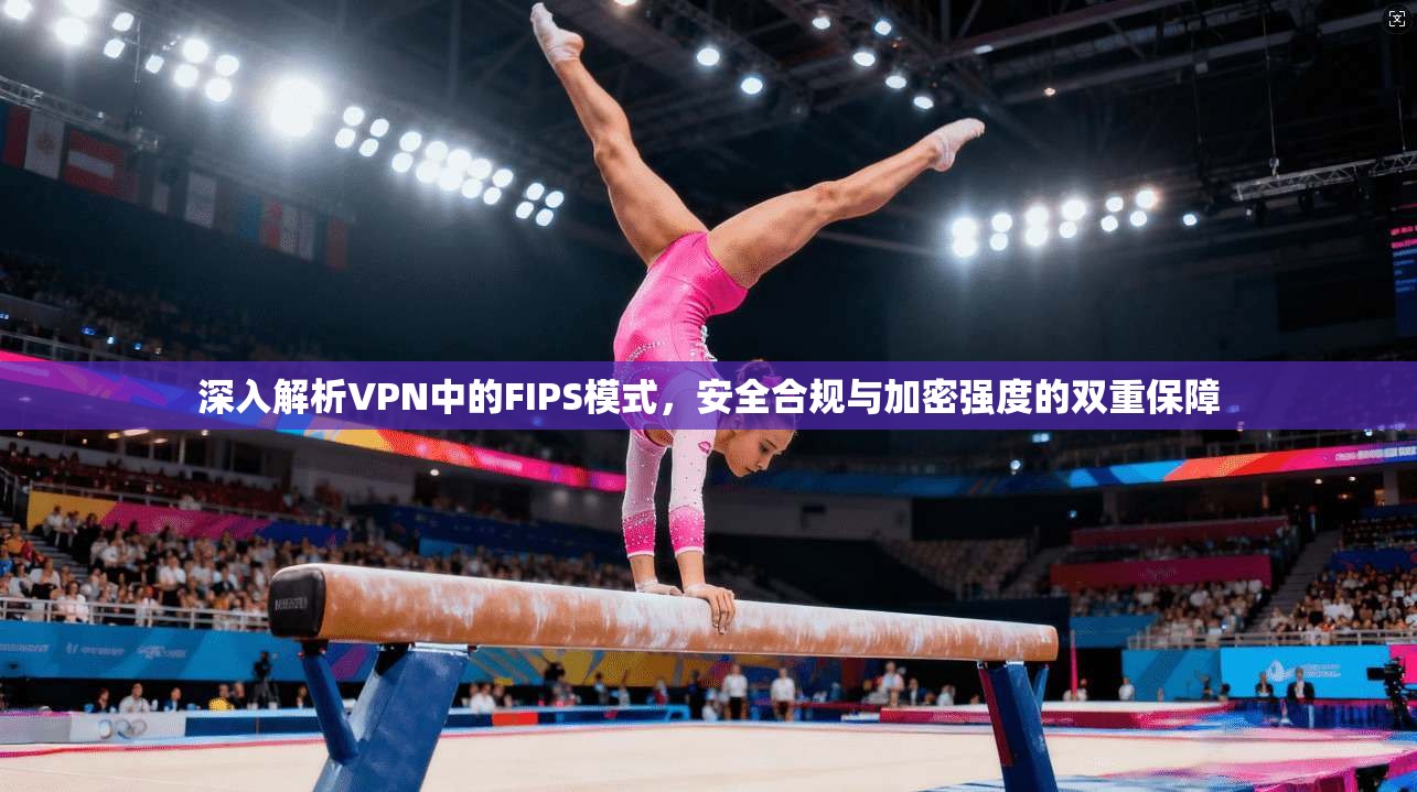 深入解析VPN中的FIPS模式，安全合规与加密强度的双重保障